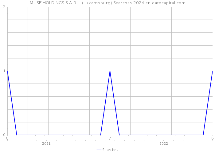 MUSE HOLDINGS S.A R.L. (Luxembourg) Searches 2024 