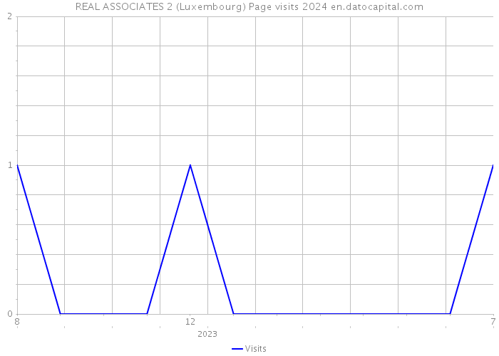 REAL ASSOCIATES 2 (Luxembourg) Page visits 2024 