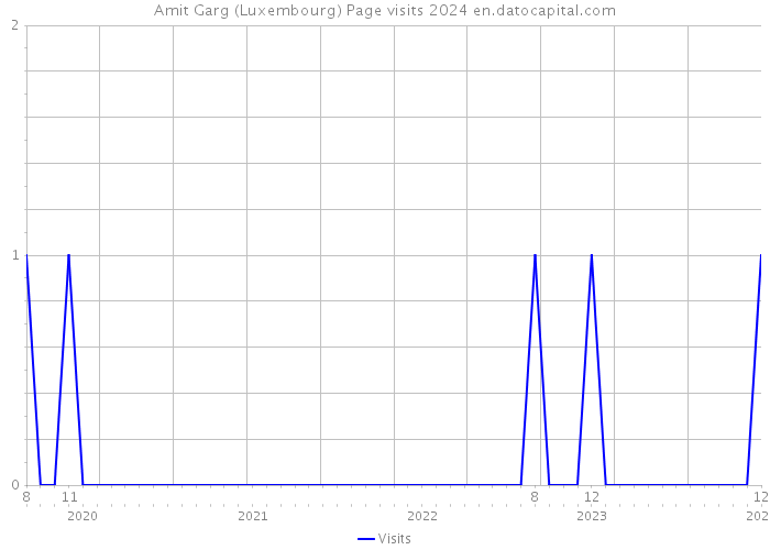 Amit Garg (Luxembourg) Page visits 2024 
