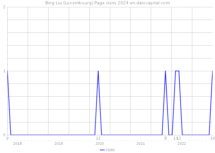 Bing Liu (Luxembourg) Page visits 2024 