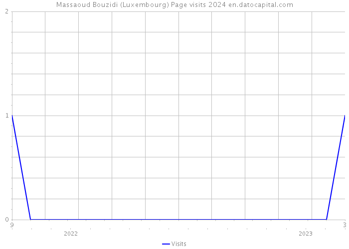 Massaoud Bouzidi (Luxembourg) Page visits 2024 
