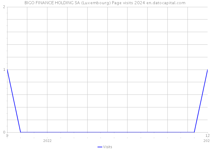 BIGO FINANCE HOLDING SA (Luxembourg) Page visits 2024 