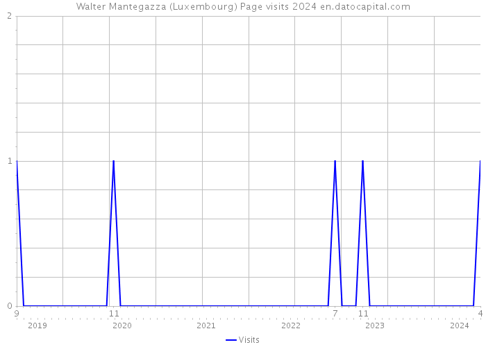 Walter Mantegazza (Luxembourg) Page visits 2024 