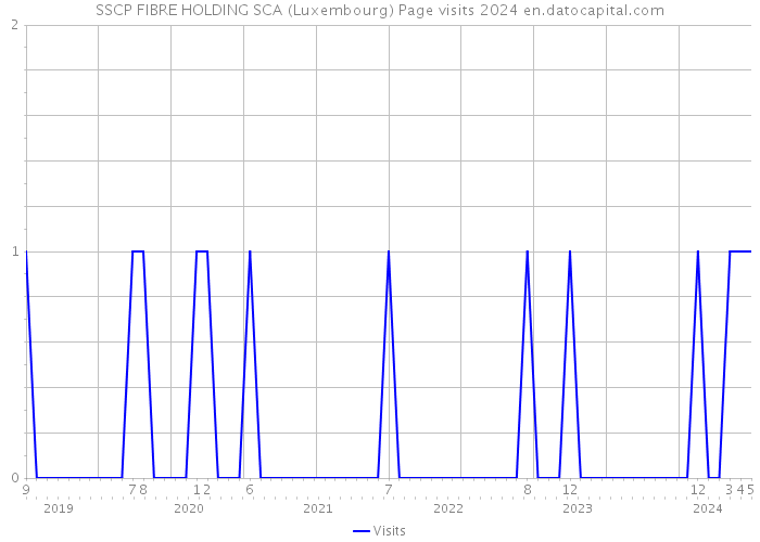 SSCP FIBRE HOLDING SCA (Luxembourg) Page visits 2024 