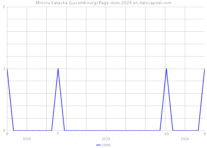 Minoru Kataoka (Luxembourg) Page visits 2024 