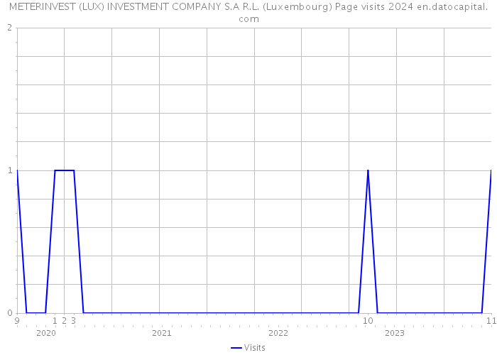 METERINVEST (LUX) INVESTMENT COMPANY S.A R.L. (Luxembourg) Page visits 2024 