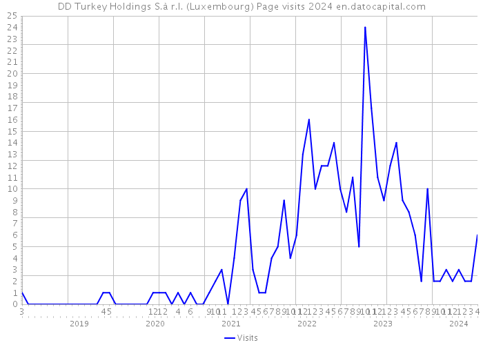 DD Turkey Holdings S.à r.l. (Luxembourg) Page visits 2024 