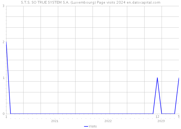 S.T.S. SO TRUE SYSTEM S.A. (Luxembourg) Page visits 2024 