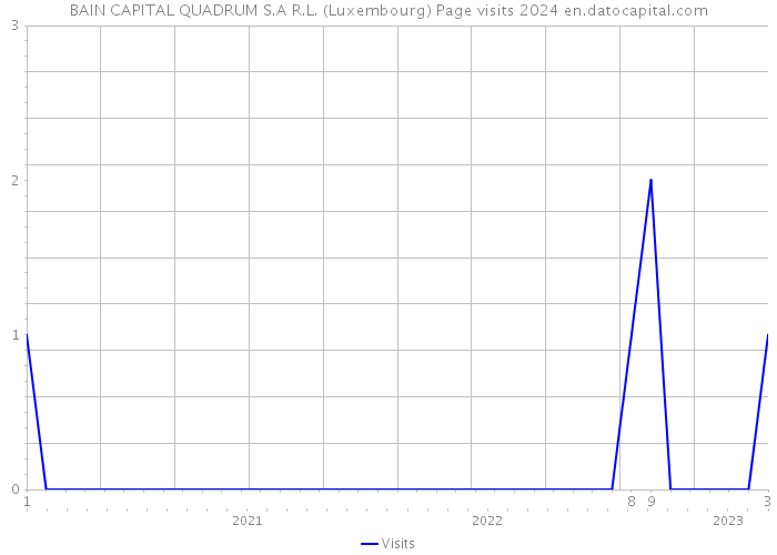 BAIN CAPITAL QUADRUM S.A R.L. (Luxembourg) Page visits 2024 