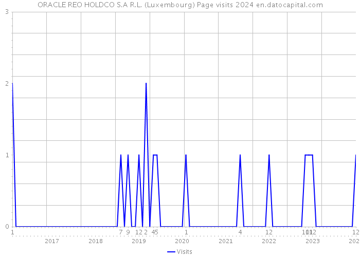 ORACLE REO HOLDCO S.A R.L. (Luxembourg) Page visits 2024 