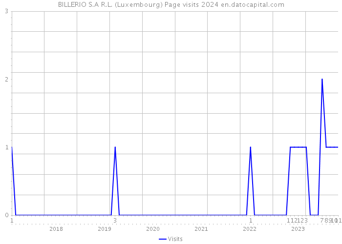 BILLERIO S.A R.L. (Luxembourg) Page visits 2024 