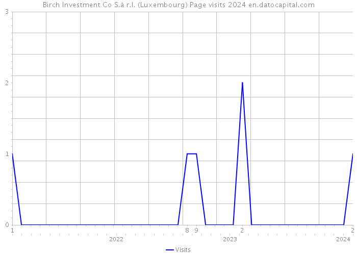 Birch Investment Co S.à r.l. (Luxembourg) Page visits 2024 