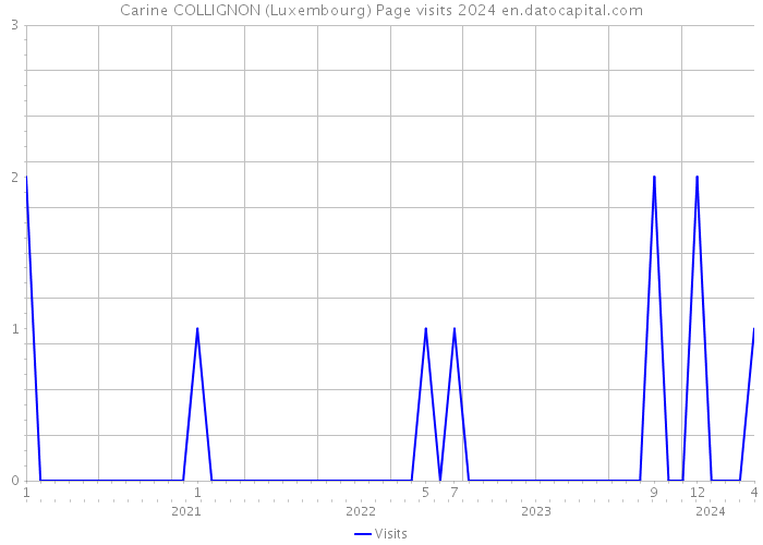 Carine COLLIGNON (Luxembourg) Page visits 2024 