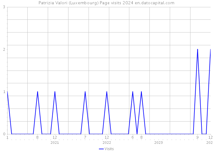 Patrizia Valori (Luxembourg) Page visits 2024 