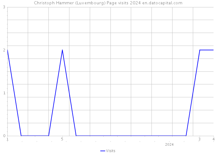Christoph Hammer (Luxembourg) Page visits 2024 