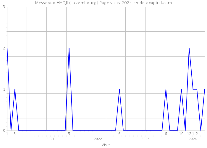 Messaoud HADJI (Luxembourg) Page visits 2024 