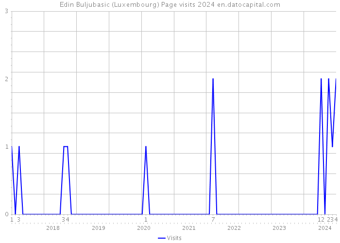 Edin Buljubasic (Luxembourg) Page visits 2024 