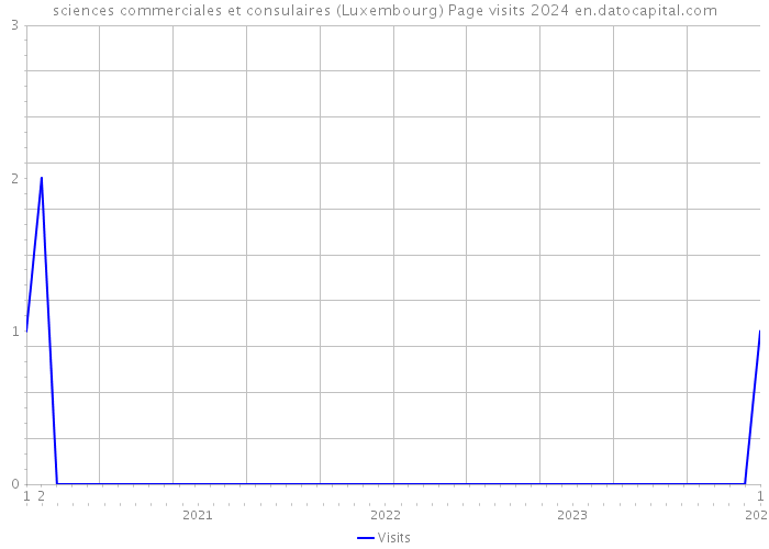 sciences commerciales et consulaires (Luxembourg) Page visits 2024 