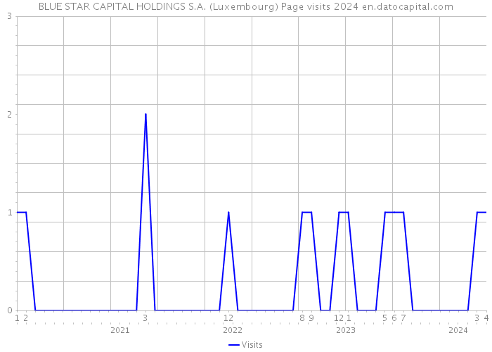 BLUE STAR CAPITAL HOLDINGS S.A. (Luxembourg) Page visits 2024 