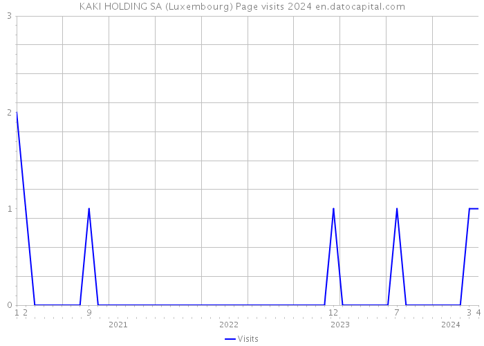 KAKI HOLDING SA (Luxembourg) Page visits 2024 