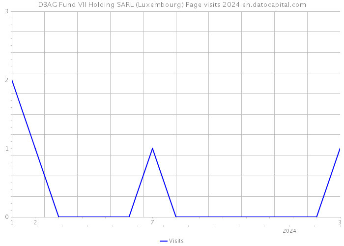 DBAG Fund VII Holding SARL (Luxembourg) Page visits 2024 