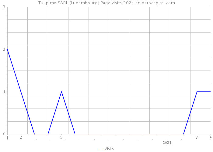 Tulipimo SARL (Luxembourg) Page visits 2024 