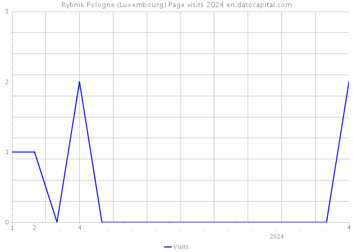 Rybnik Pologne (Luxembourg) Page visits 2024 