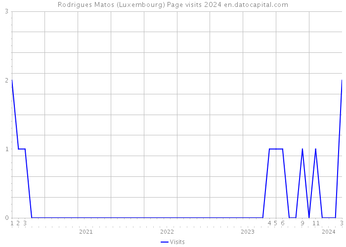 Rodrigues Matos (Luxembourg) Page visits 2024 