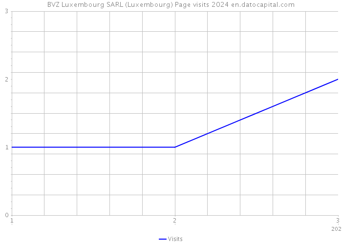 BVZ Luxembourg SARL (Luxembourg) Page visits 2024 