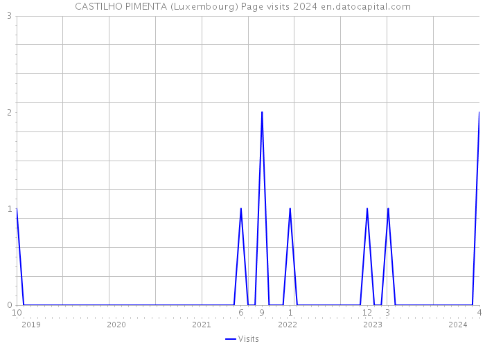 CASTILHO PIMENTA (Luxembourg) Page visits 2024 