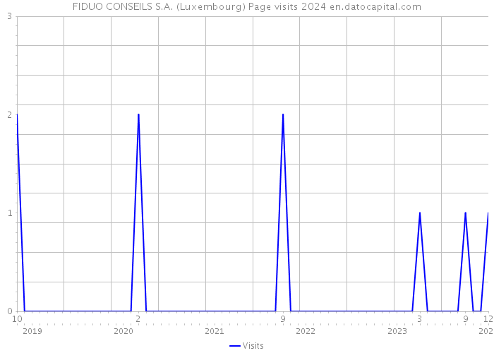 FIDUO CONSEILS S.A. (Luxembourg) Page visits 2024 