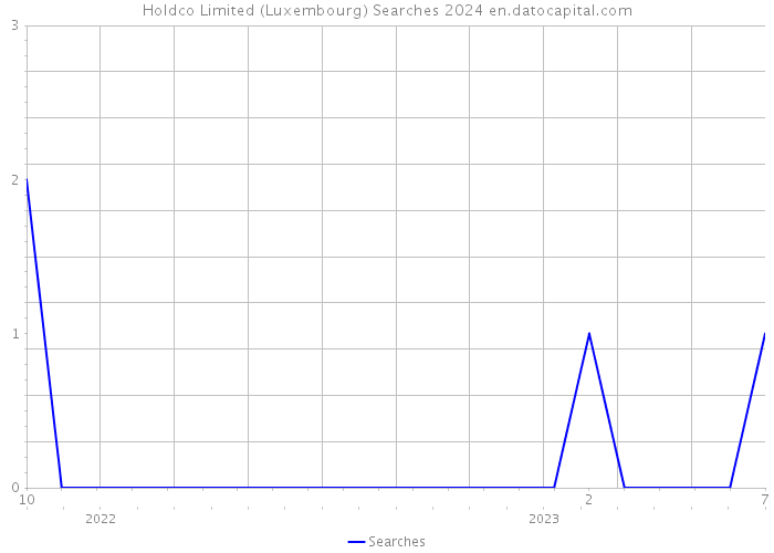 Holdco Limited (Luxembourg) Searches 2024 