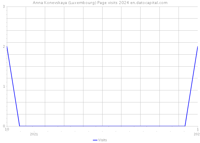 Anna Konevskaya (Luxembourg) Page visits 2024 