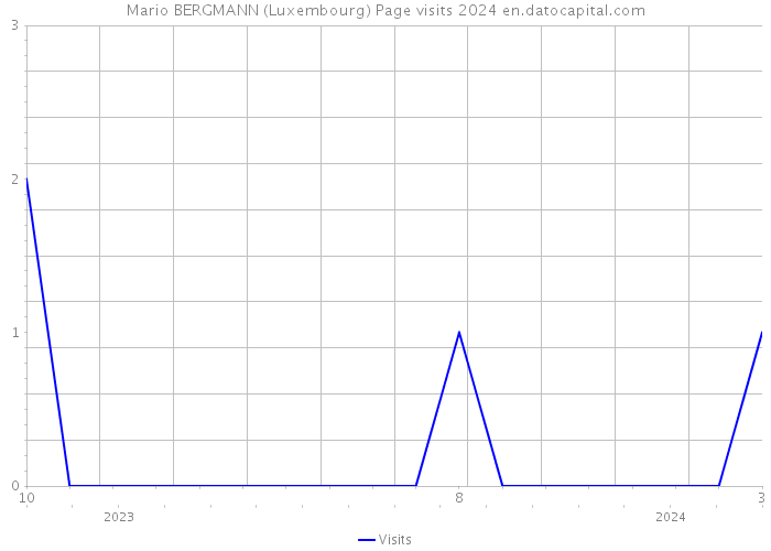 Mario BERGMANN (Luxembourg) Page visits 2024 