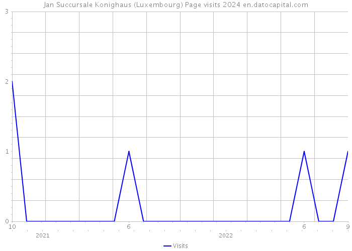 Jan Succursale Konighaus (Luxembourg) Page visits 2024 