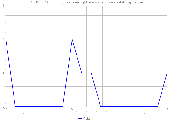 EPICO HOLDINGS SCSP (Luxembourg) Page visits 2024 