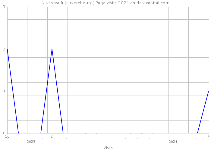 Niuconsult (Luxembourg) Page visits 2024 