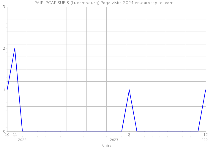 PAIP-PCAP SUB 3 (Luxembourg) Page visits 2024 