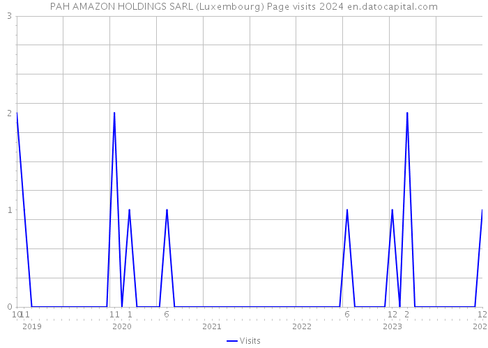 PAH AMAZON HOLDINGS SARL (Luxembourg) Page visits 2024 