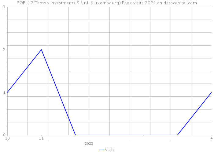 SOF-12 Tempo Investments S.à r.l. (Luxembourg) Page visits 2024 