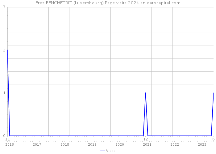Erez BENCHETRIT (Luxembourg) Page visits 2024 