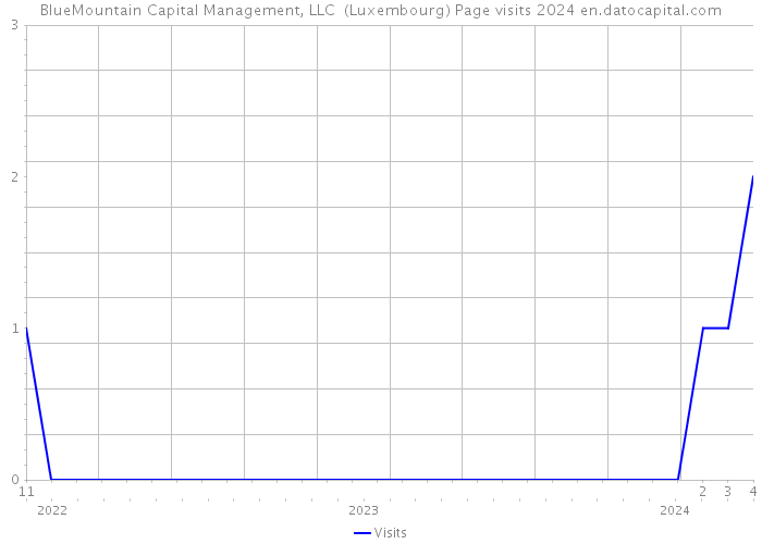 BlueMountain Capital Management, LLC (Luxembourg) Page visits 2024 