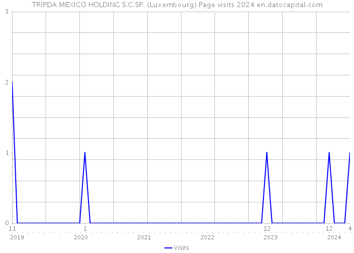 TRIPDA MEXICO HOLDING S.C.SP. (Luxembourg) Page visits 2024 