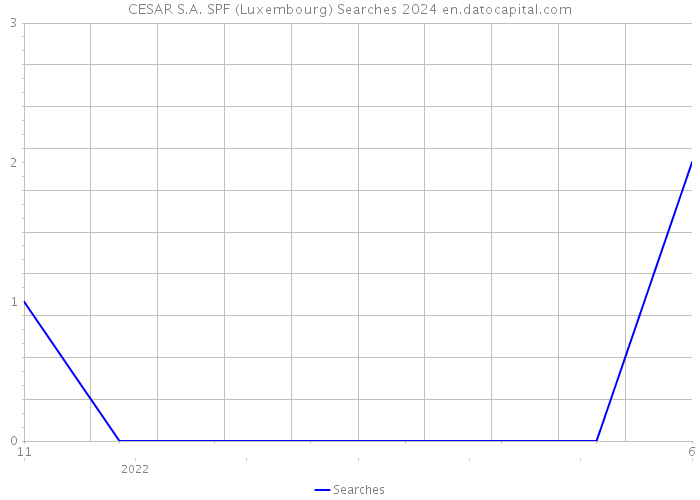 CESAR S.A. SPF (Luxembourg) Searches 2024 