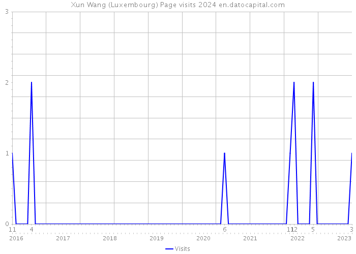 Xun Wang (Luxembourg) Page visits 2024 