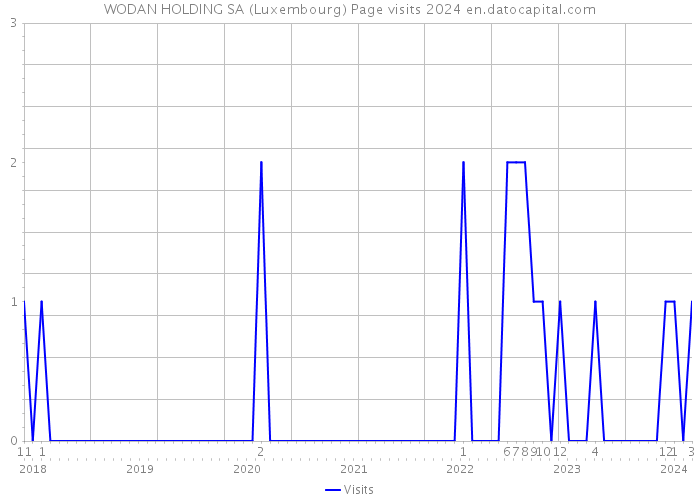 WODAN HOLDING SA (Luxembourg) Page visits 2024 