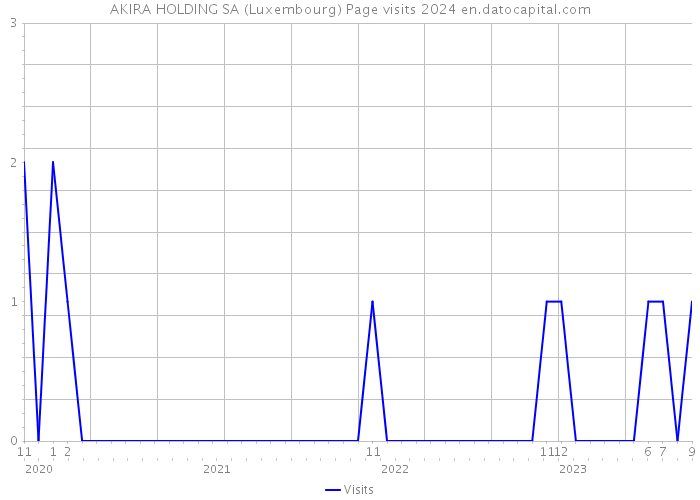 AKIRA HOLDING SA (Luxembourg) Page visits 2024 