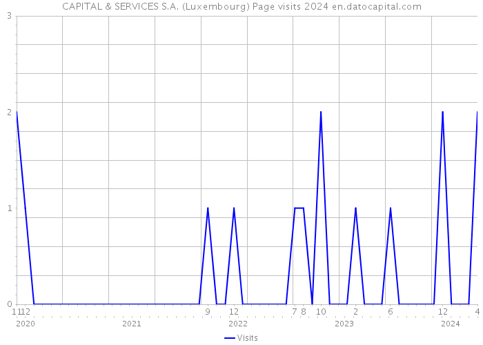 CAPITAL & SERVICES S.A. (Luxembourg) Page visits 2024 