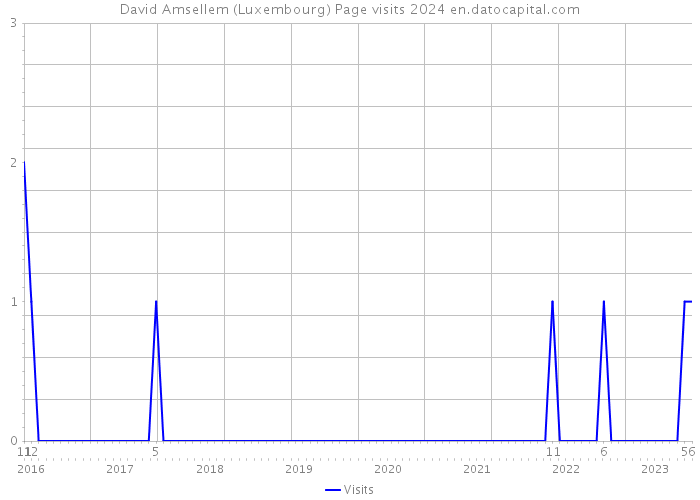 David Amsellem (Luxembourg) Page visits 2024 