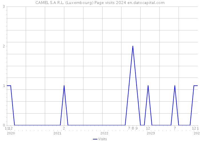 CAMEL S.A R.L. (Luxembourg) Page visits 2024 